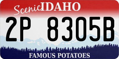 ID license plate 2P8305B
