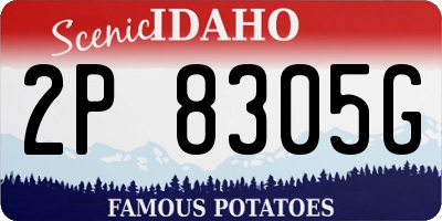 ID license plate 2P8305G