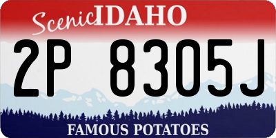 ID license plate 2P8305J