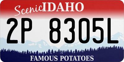 ID license plate 2P8305L
