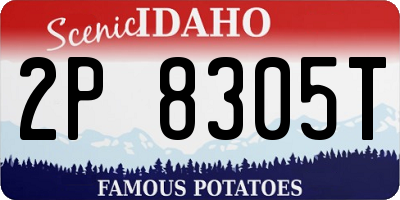 ID license plate 2P8305T