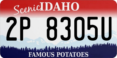 ID license plate 2P8305U