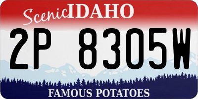 ID license plate 2P8305W