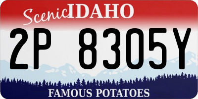 ID license plate 2P8305Y