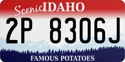 ID license plate 2P8306J