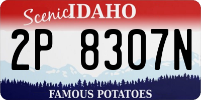 ID license plate 2P8307N