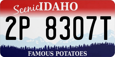 ID license plate 2P8307T