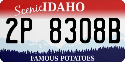 ID license plate 2P8308B
