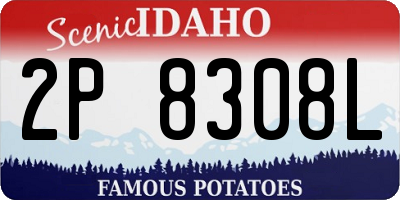 ID license plate 2P8308L