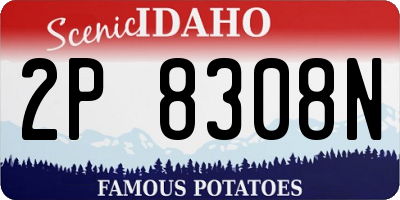 ID license plate 2P8308N