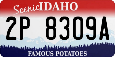 ID license plate 2P8309A