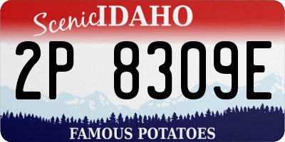 ID license plate 2P8309E