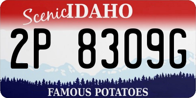 ID license plate 2P8309G