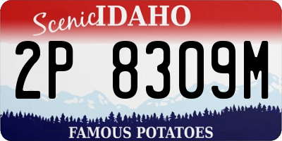 ID license plate 2P8309M
