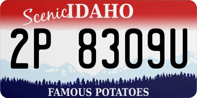ID license plate 2P8309U
