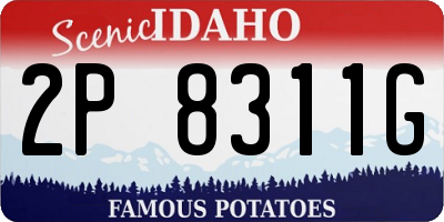 ID license plate 2P8311G