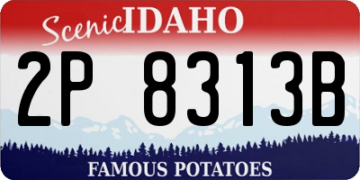 ID license plate 2P8313B
