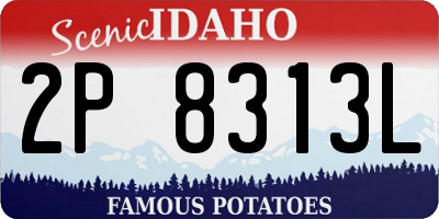 ID license plate 2P8313L