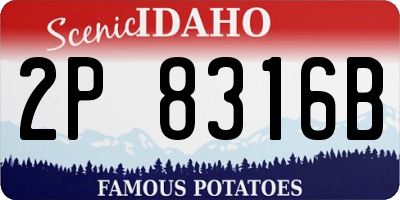 ID license plate 2P8316B