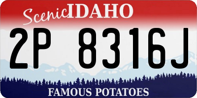 ID license plate 2P8316J