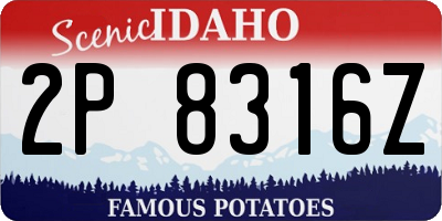 ID license plate 2P8316Z