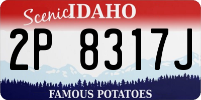 ID license plate 2P8317J