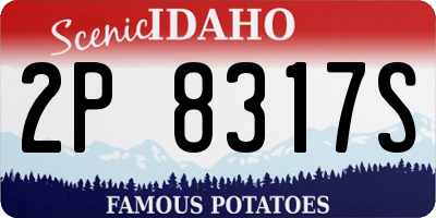 ID license plate 2P8317S