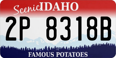 ID license plate 2P8318B
