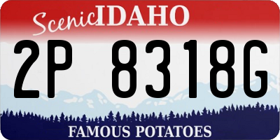 ID license plate 2P8318G