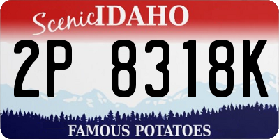 ID license plate 2P8318K
