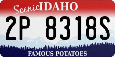 ID license plate 2P8318S