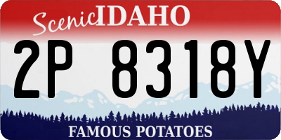 ID license plate 2P8318Y
