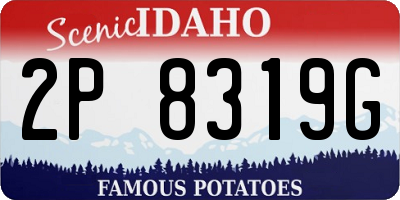 ID license plate 2P8319G