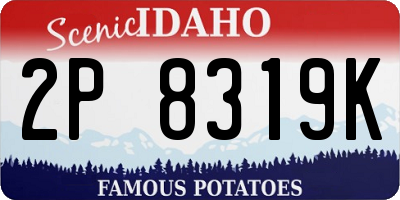 ID license plate 2P8319K