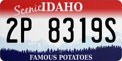 ID license plate 2P8319S