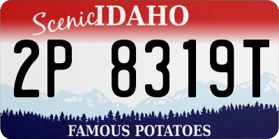 ID license plate 2P8319T