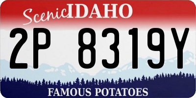 ID license plate 2P8319Y