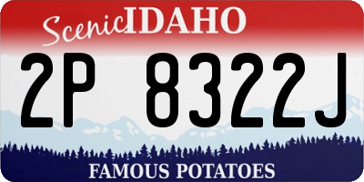 ID license plate 2P8322J