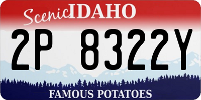 ID license plate 2P8322Y