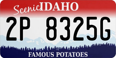 ID license plate 2P8325G