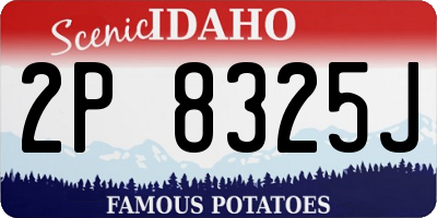 ID license plate 2P8325J
