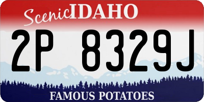 ID license plate 2P8329J