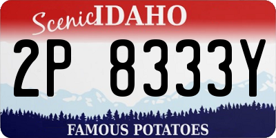 ID license plate 2P8333Y