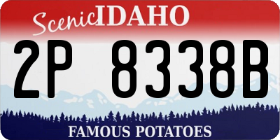 ID license plate 2P8338B