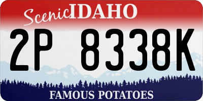 ID license plate 2P8338K
