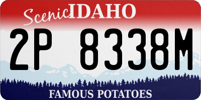 ID license plate 2P8338M