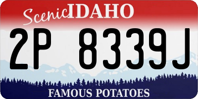 ID license plate 2P8339J