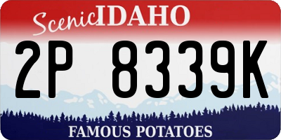 ID license plate 2P8339K