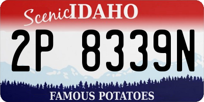 ID license plate 2P8339N