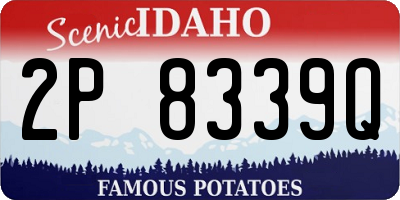 ID license plate 2P8339Q